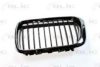 BMW 51138195151 Radiator Grille